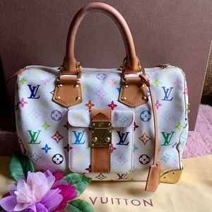 Louis Vuitton Multicolor Speedy 30